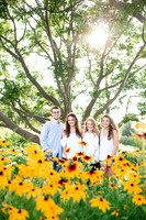 flower garden shaded by tree