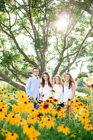 flower garden shaded by tree