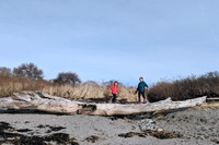 third cove
